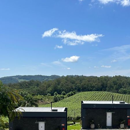Vista Vigneti Albergo & Vino - Vale Dos Vinhedos Bento Gonçalves Exteriör bild
