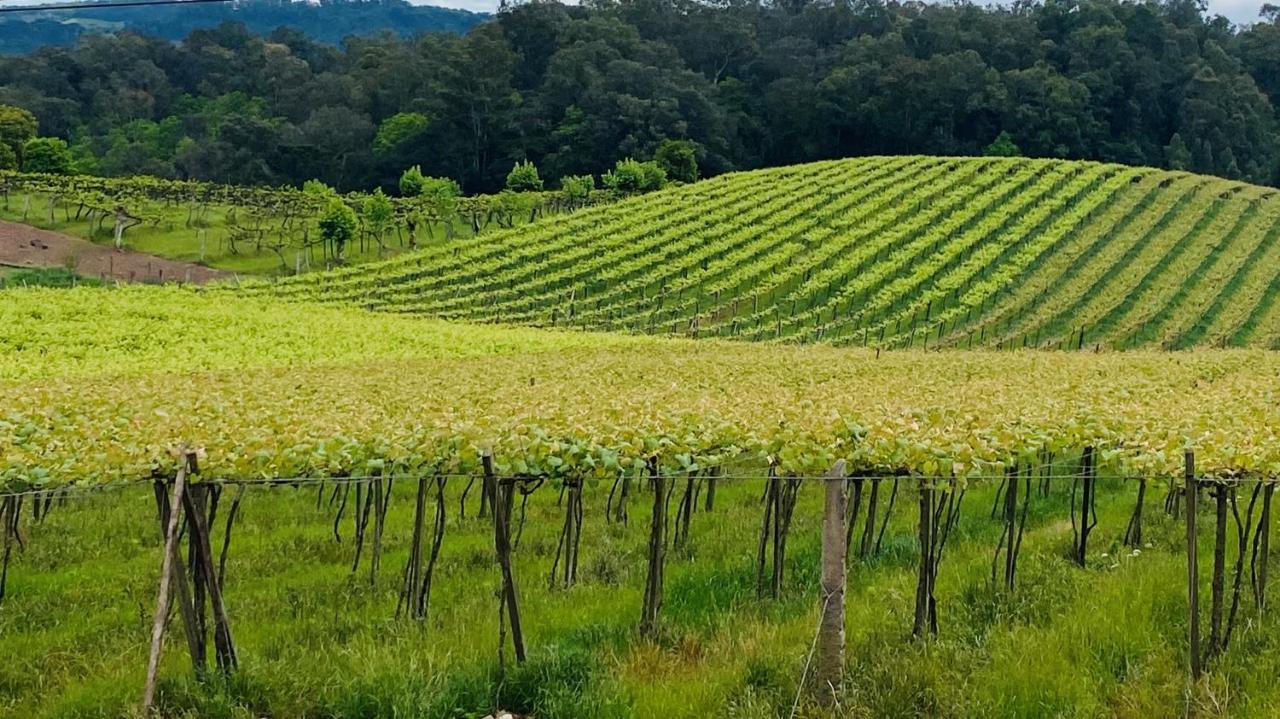 Vista Vigneti Albergo & Vino - Vale Dos Vinhedos Bento Gonçalves Exteriör bild